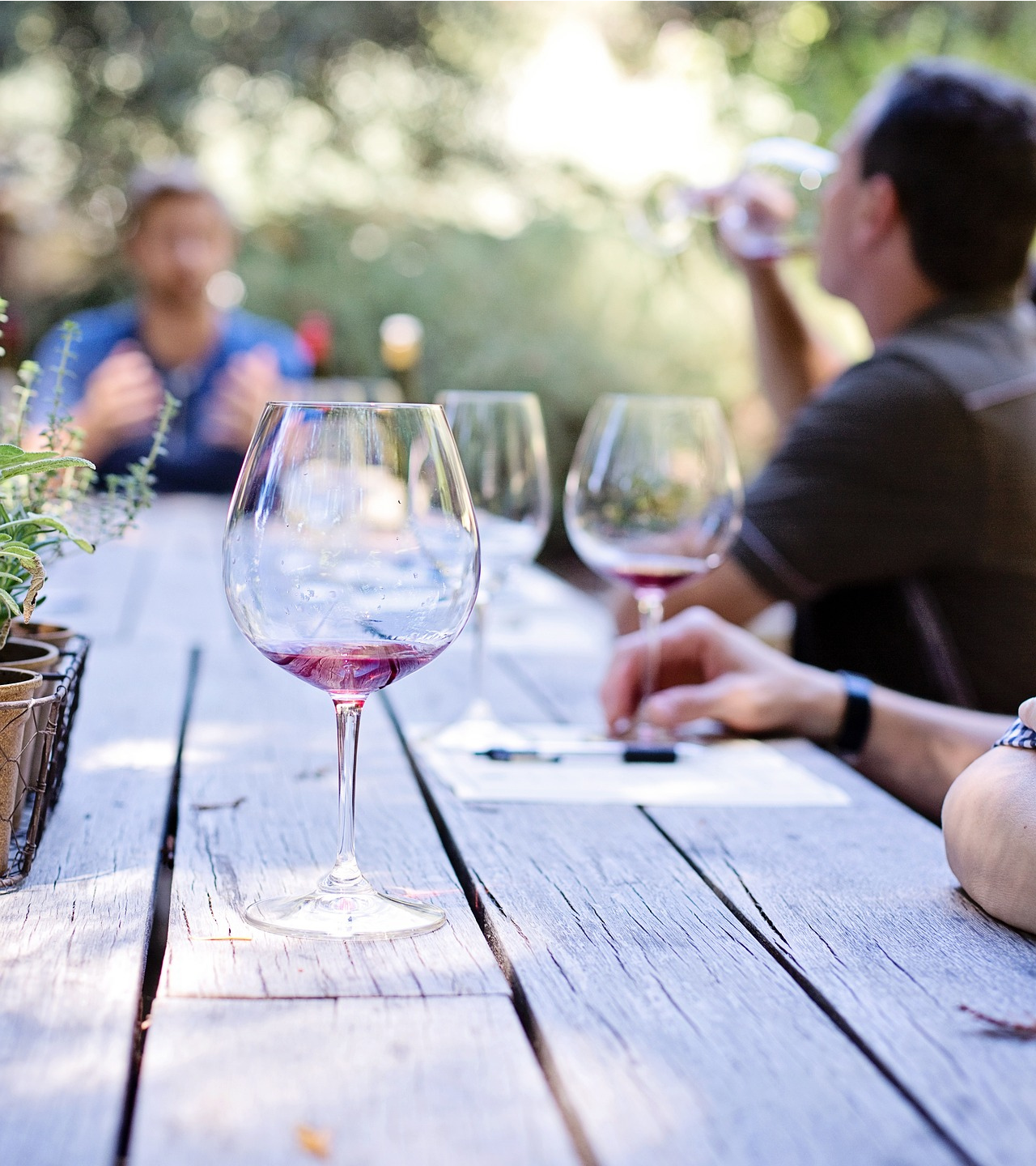 Wine tasting on a long table with red wine